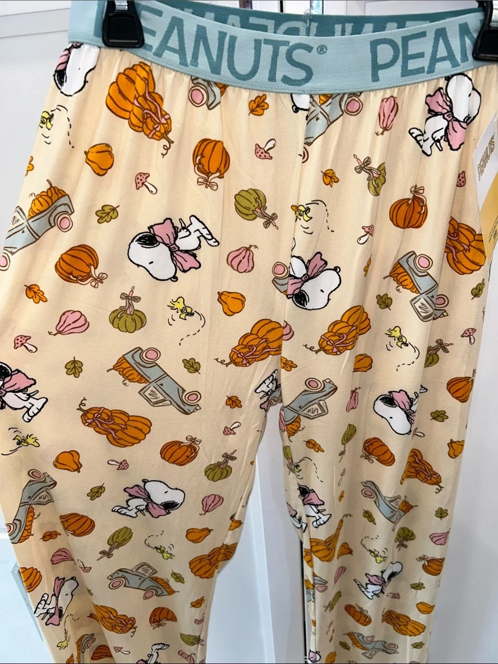 Peanuts Snoopy Fall Autumn Pajama Pants